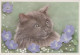 KATZE MIEZEKATZE Tier Vintage Ansichtskarte Postkarte CPSM #PAM479.DE - Cats