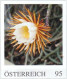 Österreich, Personalisierte Marken, Blumen Inkl. Kakteen / Austria, Personalized Stamps, Flowers Incl. Cacti - Sukkulenten