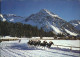 11381255 Arosa GR Pferderennen Auf Dem Obersee Arosa - Other & Unclassified