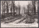 128231/ COMPIÈGNE, Forêt De Compiègne, Vue Exacte De L'emplacement Où Fut Conclu L'Armistice Le 11-11-1918 - Compiegne
