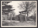 076892/ MARIEMONT, Musée, La Porte Et Les Lanternes Japonaises - Morlanwelz