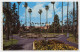 Etats-Unis.Californie.Beverly Hills.Magnificent Beverly Hills Hotel In Distance. - Los Angeles