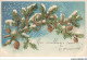 AS#BFP1-0351 - VOEUX - 1904 - Branche De Sapin - Carte Gaufrée - Neujahr