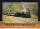 Cass Scenic Railroad West Verginia - Trenes