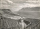 11358057 Lac Leman Genfersee Vignoble Lavaux Genf - Altri & Non Classificati