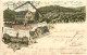 Gruss Aus Falkenstein - Gasthaus Zum Frankfurter Hof - Litho - Koenigstein