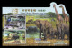 Delcampe - North Korea 2017 Mih. 6406/10 (Bl.950/54) Natural History Museum. Flora. Fauna. Dinosaurs. Elephants. Giraffes MNH ** - Korea, North