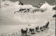 11353994 Jungfraujoch Polar Schlittenhunde Rottalhorn Gletscherhorn Berner Alpen - Andere & Zonder Classificatie