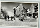 10701708 - Feldberg , Schwarzwald - Feldberg