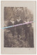 1909 - 1924 / CARTE PHOTO / 3 MARINS DU TOURVILLE / MARINE - Barcos
