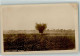 39676108 - Einschlag Schwere Granate - Weltkrieg 1914-18