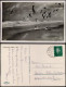 Ansichtskarte Sellin Möwen Am Strand - Ostsee 1931 - Sellin