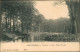 Postkaart Apeldoorn Vijver I. H. Kon. Park 't Loo. 1909 - Apeldoorn