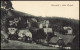 Ansichtskarte Bärenfels (Erzgebirge)-Altenberg (Erzgebirge) Stadtpartie 1923 - Altenberg