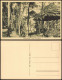 Ansichtskarte Elsterwerda Wikow Stadtpark, Birkenhain Pavillon 1924 - Elsterwerda