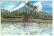 Ansichtskarte  Vulkan Mayon (Luzon, Philippinen) Künstlerkarte Kunst AK 1990 - Paintings