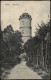 Ansichtskarte Niesky Niska Weg Zum Wartturm 1929 - Niesky