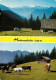 72927756 Bad Goisern Salzkammergut Alpengasthaus Huetteneckalm Almvieh Kuehe Alp - Otros & Sin Clasificación