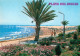 72927663 Playa Del Ingles Paseo Y Playa Strand Promenade Palmen Playa Del Ingles - Autres & Non Classés