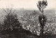 43-LE PUY EN VELAY-N°3823-D/0343 - Le Puy En Velay