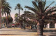 83-HYERES LES PALMIERS-N°3825-E/0235 - Hyeres