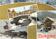 74-MORZINE-N°3831-D/0377 - Morzine