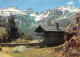 65-HAUTE MONTAGNE CHALET-N°3832-B/0315 - Sonstige & Ohne Zuordnung