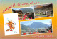 74-MORZINE-N°3833-A/0037 - Morzine