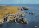 85-ILE D YEU-N°3835-A/0031 - Ile D'Yeu