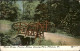 11328413 Pittsburg Pennsylvania Rustic Bridge Panther Hollow Shenley Park United - Other & Unclassified