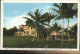 11326369 Palm_Beach Residence E.T. Stotesbury - Autres & Non Classés