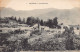 Algérie - PALESTRO Lakhdaria - Vue Générale - Ed. Collection Idéale P.S. 1 - Sonstige & Ohne Zuordnung