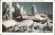 11326004 Mount_Wilson Mount Wilson Hotel Winter Scene - Altri & Non Classificati