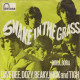 DAVE DEE, DOZY, BEAKY, MICK & TICH - Snake In The Grass - Otros - Canción Inglesa