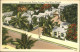 11322812 Key_West Birdseye View Cactus Terrace - Other & Unclassified