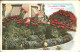 11322609 Los_Angeles_California Poinsettias In Winter - Andere & Zonder Classificatie