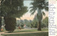 11322364 San_Francisco_California A Park Scene In California - Sonstige & Ohne Zuordnung