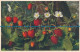 R089512 Wild Strawberry. Gyger. No 706 - World