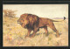 Künstler-AK Löwe Auf Dem Sprung  - Tigres