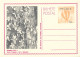 Angola Set Of Mint FLOWER Stationary Cards - Angola