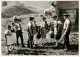 13926235 Appenzell_IR Auf Der Alp Schaelleschoettle - Autres & Non Classés