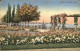 12018616 Rorschach Bodensee Quai Blumenbeet Baumbluete Rorschach - Sonstige & Ohne Zuordnung
