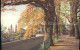 12014146 Zuerich Hohe Promenade Herbststimmung Serie 113 Zuerich - Autres & Non Classés