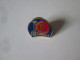 Roumanie Insigne/pin Du Syndicat Famille Vers 1990/Romania Family Trade Union Pin Badge 1990s - Verenigingen