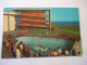 UNITED STATES    POSTCARDS  MARINELAND GORGONA - Other & Unclassified