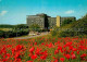 72907087 Marmagen Eifelhoehen Klinik Mohnblumen Marmagen - Autres & Non Classés