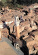 72904442 Siena Fliegeraufnahme Piazza Del Campo Siena - Sonstige & Ohne Zuordnung