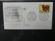 Delcampe - Frankreich Und Gebiete FDCs Ab 2002 Besammelt Im Ringbinder #LY693 - Other & Unclassified