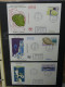 Delcampe - Frankreich Und Gebiete FDCs Ab 2002 Besammelt Im Ringbinder #LY693 - Autres & Non Classés