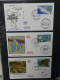 Delcampe - Frankreich Und Gebiete FDCs Ab 2002 Besammelt Im Ringbinder #LY693 - Autres & Non Classés